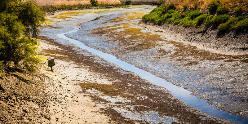 The way to Landscape a Nautical Scene